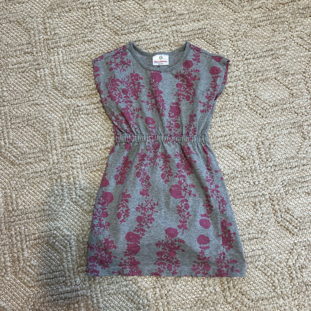 Hanna Andersson Dress